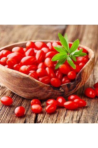 Saksılı 3 Adet Goji Berry Fidanı 1-2 Yaşında - Ve Lezz