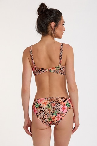 Argento Kadın Leopar Desenli İnce Sabit Kaplı Balenli Ayarlanabilir Askılı Slip Bikini Takımı Leopar