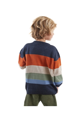 Denokids Hayvanlar Erkek Çocuk Kazak