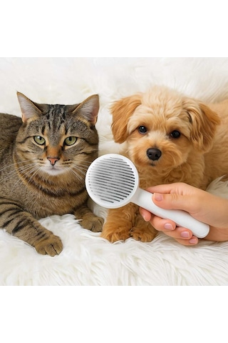 Evcil Hayvan Kedi Köpek Basmalı Tarak Lüks Key Pet Comb