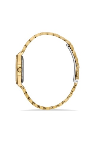 Ferro Fl21518awt-b Quartz Çelik Altın Rengi 30 Mm Kadın Kol Saati Altın