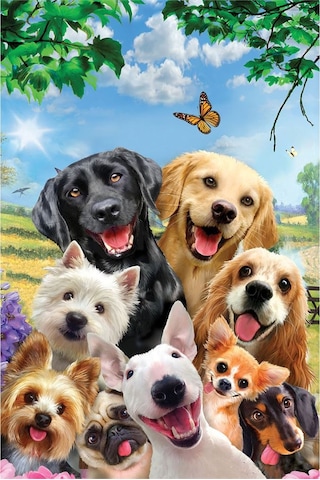 Prime 3d Kediler Ve Köpekler Selfie İkili Puzzle 200 Parça 10236