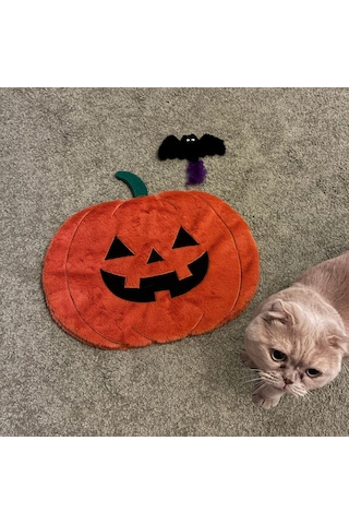 Miyav Kabak Desenli Kedi  Minderi