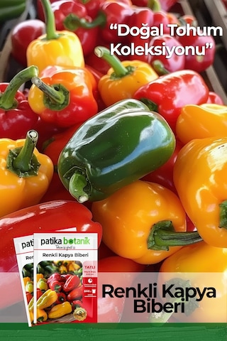 75 Adet Yerli Ata Renkli Kapya Biber Tohumu