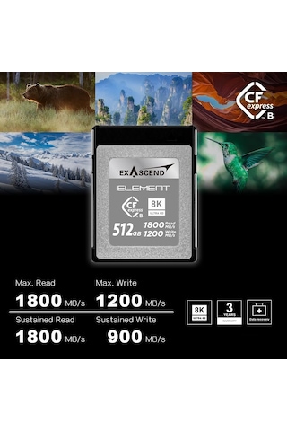 Exascend Element 512gb Cfexpress Type-b Hafıza Kartı