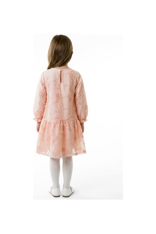 Xo Kids Kız Çocuk Elbise 5-9 Yaş 36171 Pudra