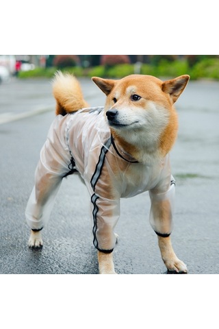 Köpek Yağmurluk Dört Ayak Su Geçirmez Şeffaf Yansıtıcı Panço, Boyut: Xl Mat Beyaz