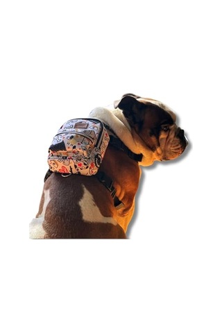 Dr. Premium Sığır Etli Doğal Sığır Derisi Press Kemik Tahılsız Köpek Ödülü 10 220-240 Gr 1'li