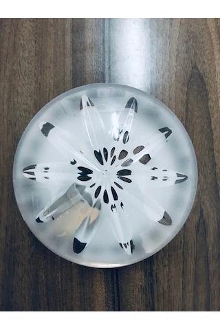 Tavan Glop Armatür E27 Duy Tavan Aplik 23Cm. Şeffaf