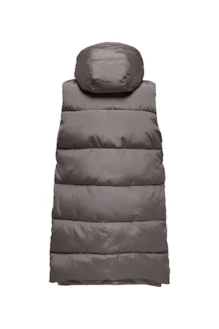 Only Onlnewnora Puffer Kadın Yelek 15300259-14289 001