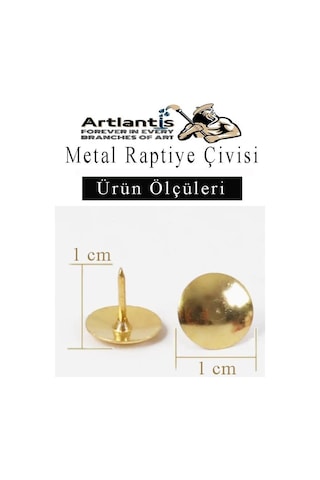 Metal Raptiye Çivisi 250 Adet 1 Paket Perçinli Altın Sarı Raptiye Nikel Kaplamalı Ev Okul Büro Yuvarlak Raptiye