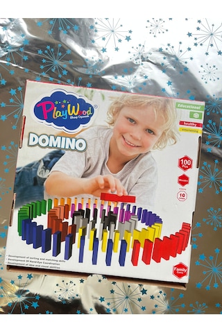 Domino Seti Eğitici Oyuncak