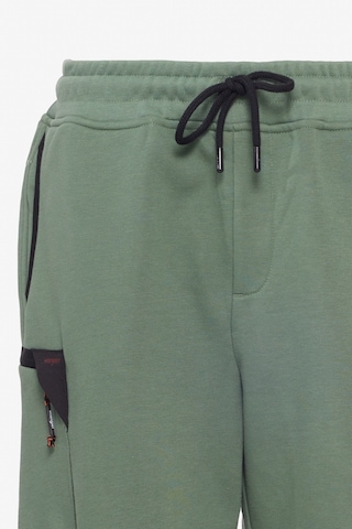 Regular Fit Normal Kesim Normal Bel Yeşil Sweat Şort W241469300 Yeşil