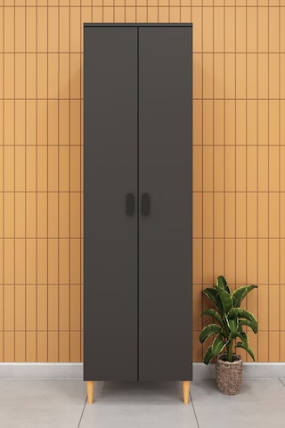 Modern 2 Kapaklı Çok Amaçlı Mutfak Banyo Dolabı %100 Mdf Erzak Kiler Dolabı Fd03 Antrasit