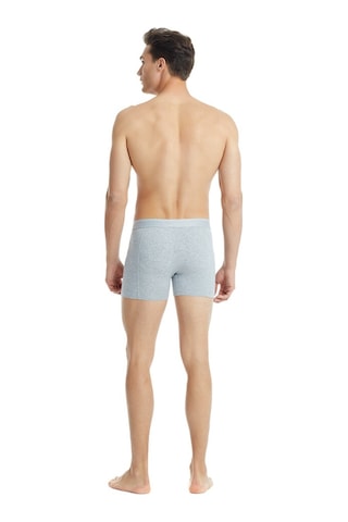 Blackspade Erkek Pamuk Elastan Boxer Tender Cotton 9233 - Gri Melanj
