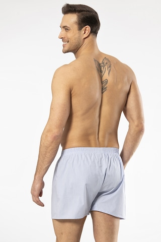 Cacharel 1113 Erkek Poplin Boxer-açıkmavi Açık Mavi