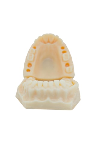 Barışhan Medikal Silikon Çene Diş Dikiş Modeli Ortodontik Alt Üst Çene Periodontal Sütür Eğitim Modeli-1