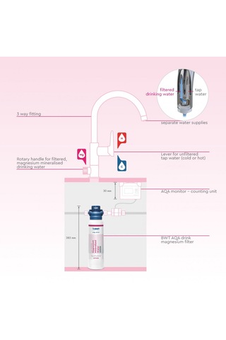 Bwt Aqa Çinko + Mp300