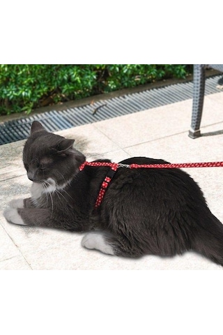 Pettagart Kırmızı Beyaz Pati Desenli Ayarlanabilir Kedi Göğüs Tasma Seti 10 Mm 110 Cm