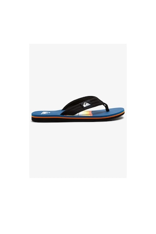 Quiksilver Molokai Layback Erkek Parmakarası Aqyl101241 Mavi