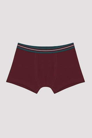 Penti Erkek Çocuk Simple Bn 2'li Boxer Çok Renkli