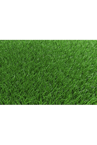 GReenking 6M 6 Lı Karışım Çim Tohumu 250 GR