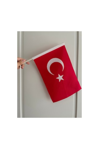 40 Adet Sopalı Türk Bayrağı 20x30 Cm Bez Alpaka Kumaş 20 x 30 CM 40 Adet Sopalı Türk Bayrağı 20x30 Cm Bez Alpaka Kumaş 20 x 30 CM