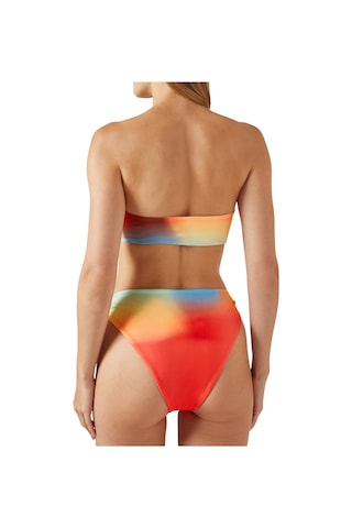 Baobab Swimwear Yüksek Bel Bikini Altı Çok Renkli