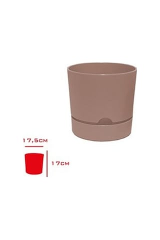 Polıwork Saksı Begonya 18 Cm Krem