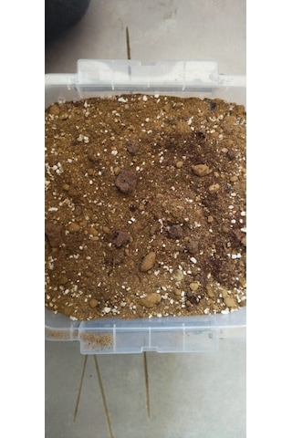 5 Litre Bitki Toprağı Saksı Toprağı Bahçe Toprağı Tarım Perliti Ponza Tozu Ve Gübre Katkılı Yetiştirme Toprağı