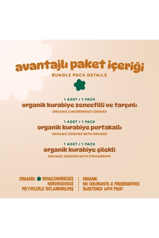 Organik Vegan Zencefilli Portakallı Çilekli Kurabiyeler Atıştırmalık Paketi - 3 Adet 3 Çeşit 165 G
