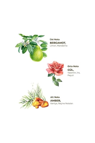 Kolonya Pet Şişe Sprey 150 Ml Amber