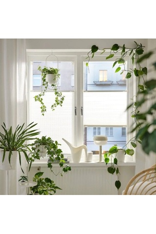 Ikea Hornvallmo Stor Perde 60 X 130 Cm Beyaz
