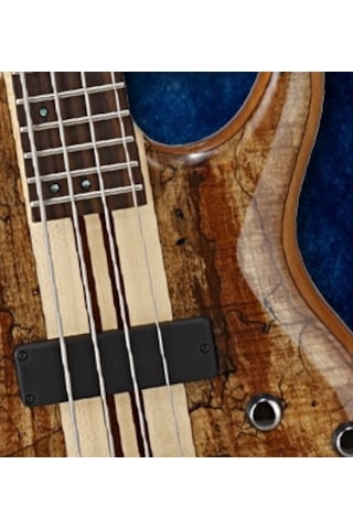 Cort A4 Custom Spnatw Bas Gitar   Natürel Parlak Çantalı Many