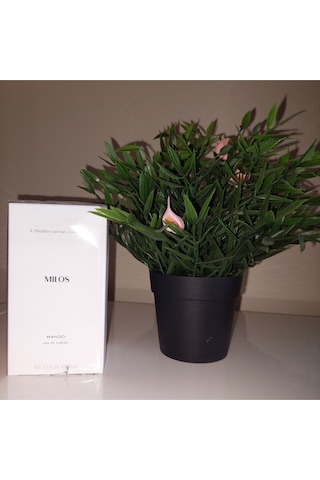Milos 100 Ml Edt Erkek Parfümü Oryantal