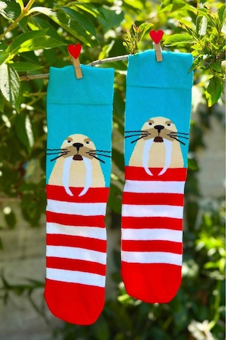 Lousocks Unisex Deniz Aslanı Desenli Renkli Soket Çorap Turkuaz