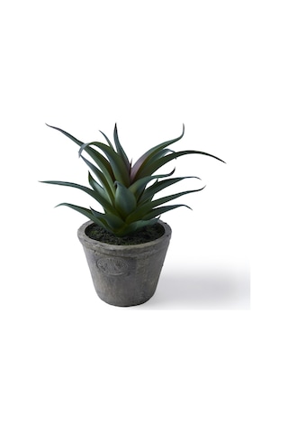Yargıcı Yapay Bitki Sukulent 20x21 Cm 26knha1100t St