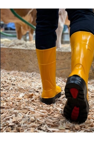 Techno Boots Poliüretan Soğuğa Dayanıklı Kısa Çelik Burunlu Sarı Çizme Sarı