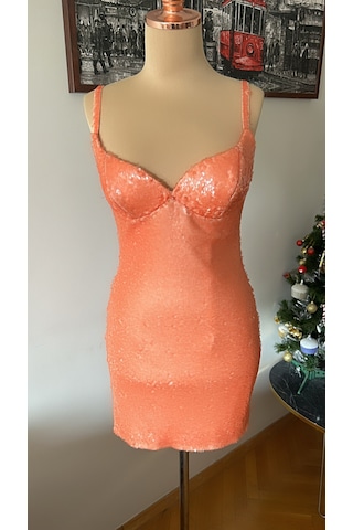 Chica Rosa Fashion Somon Pullu Mini Elbise