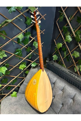 Orta Kalite Ses Kafesli Kısa Dut Tekne Bağlama Kılıf+yedek Takım Tel+tezene
