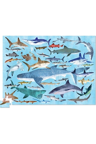 Crocodile Creek Puzzle - 100 Parça - Köpek Balıkları