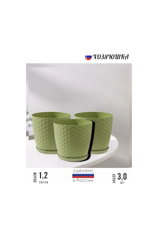 Petrostil' Rotaang Çiçek Saksı Seti 248961993