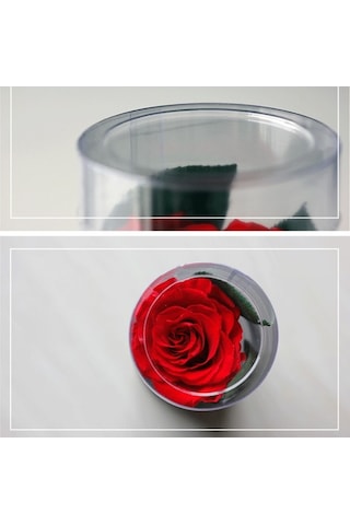 Trendooze Yıl Sonsuz Sonsuz Sevgililer Romantik Pembe Partisi Parfümlü Noel Korunmuş Kadınlar İçin Hediye Günü Günü Gül Gül Gül Gerçek Festivalleri Ev Düğün Dönümü Çiçeği Çiçeği Arifesi Anneler Pe Pembe