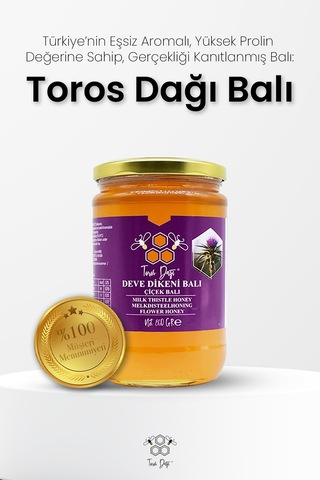 Toros Dağı Deve Dikeni Balı 860 G