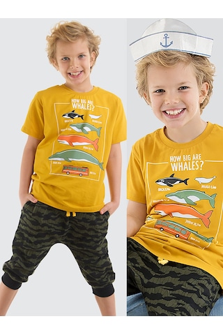 Denokids Mshb&g Big Whales Erkek Çocuk T-shirt Kapri Takım Çok Renkli