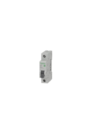 Schneider Şarj İstasyonu Otomat Sigortası 7,4 Kw
