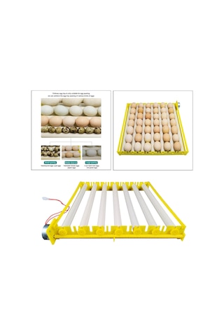 Homyl Yumurta Kuluçka Makinesi Tepsisi Otomatik Silindiri 7-tüp