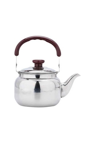 Fortunelane Islık Çayı 500ml Paslanmaz Çelik Isıtıcı, Ev Mutfak İndüksiyon Soba Gaz Kamp İçin Ergonomik Saplı Çelik