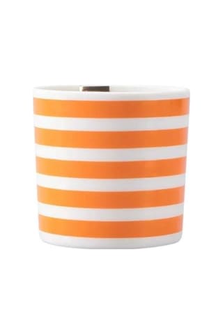Porland Funky Orange Bardak 230cc Turuncu