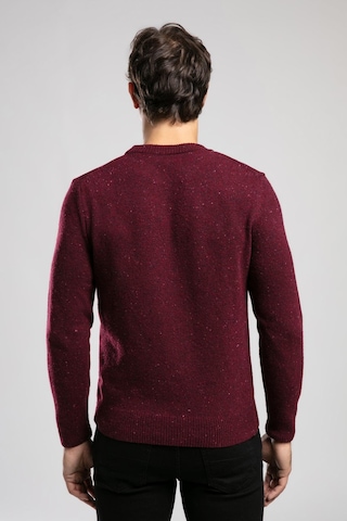 Lee Cooper Jos Erkek O Yaka Kazak Mor Mürdüm-21059 Mürdüm